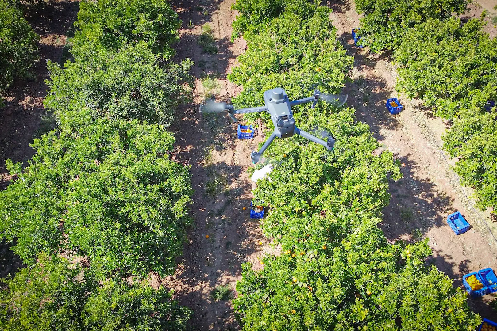 Agricultura de Precisión